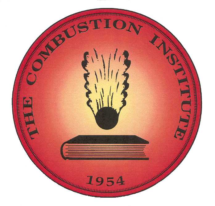 Link to Combustion Institute