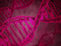 tissue engineering world class event in 2014